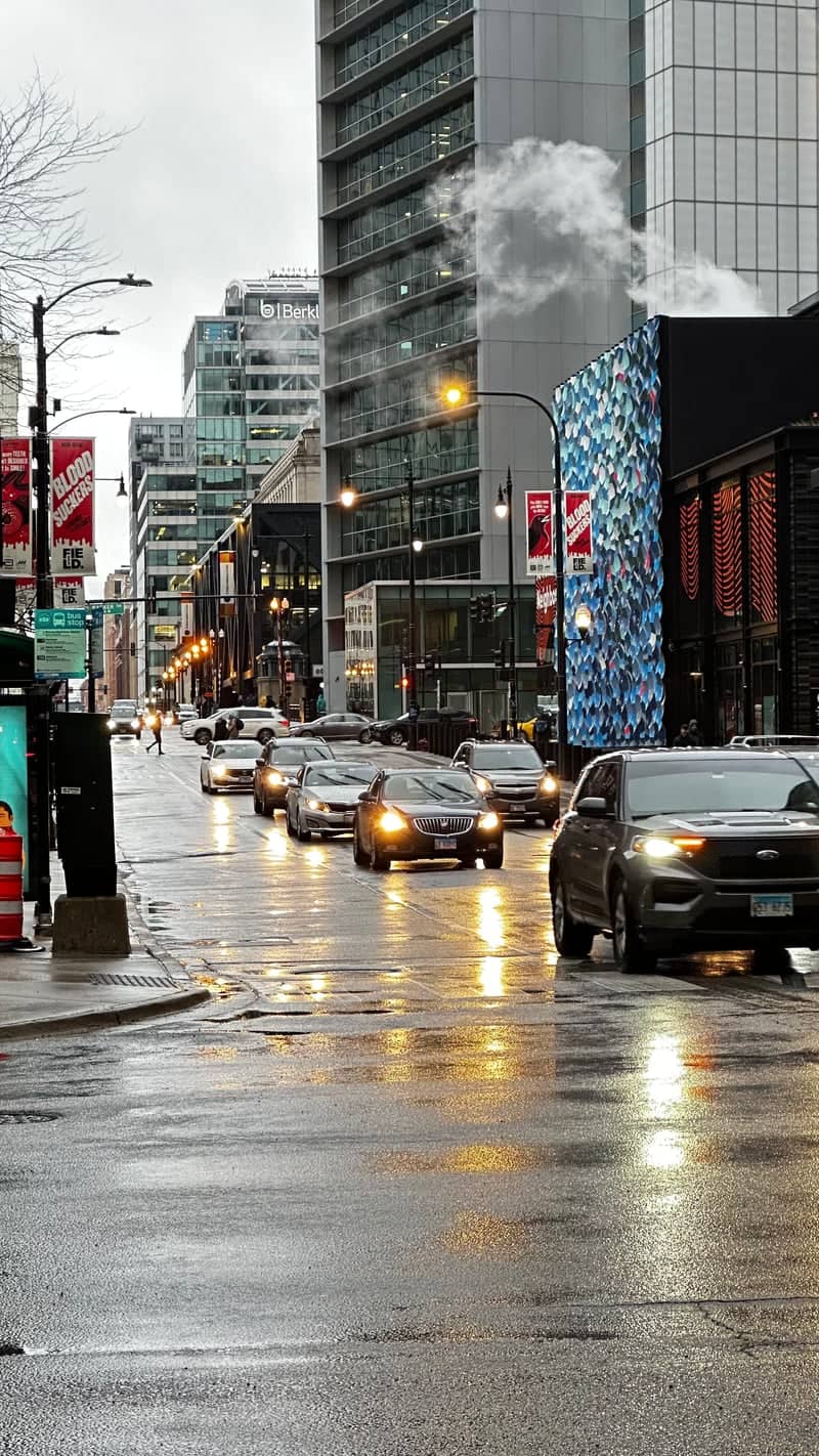 Downtown Chicago Streetscape - Image 1