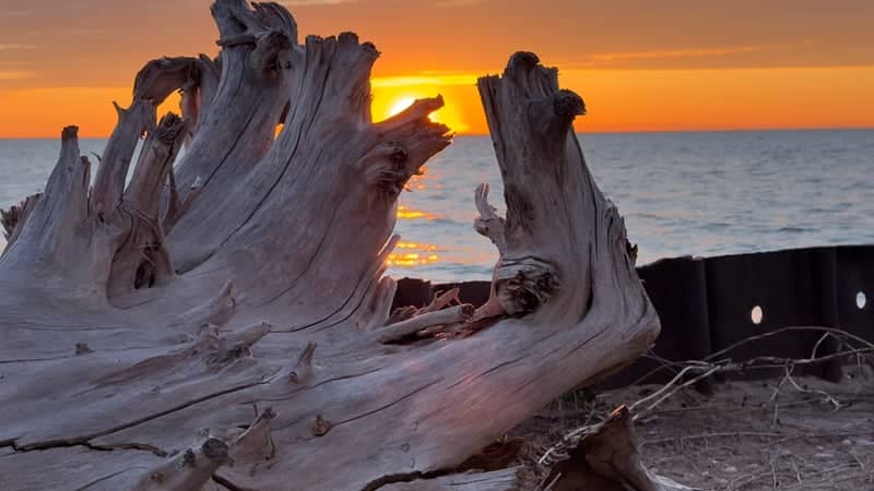 Point Betsie Lighthouse Beach - Image 1