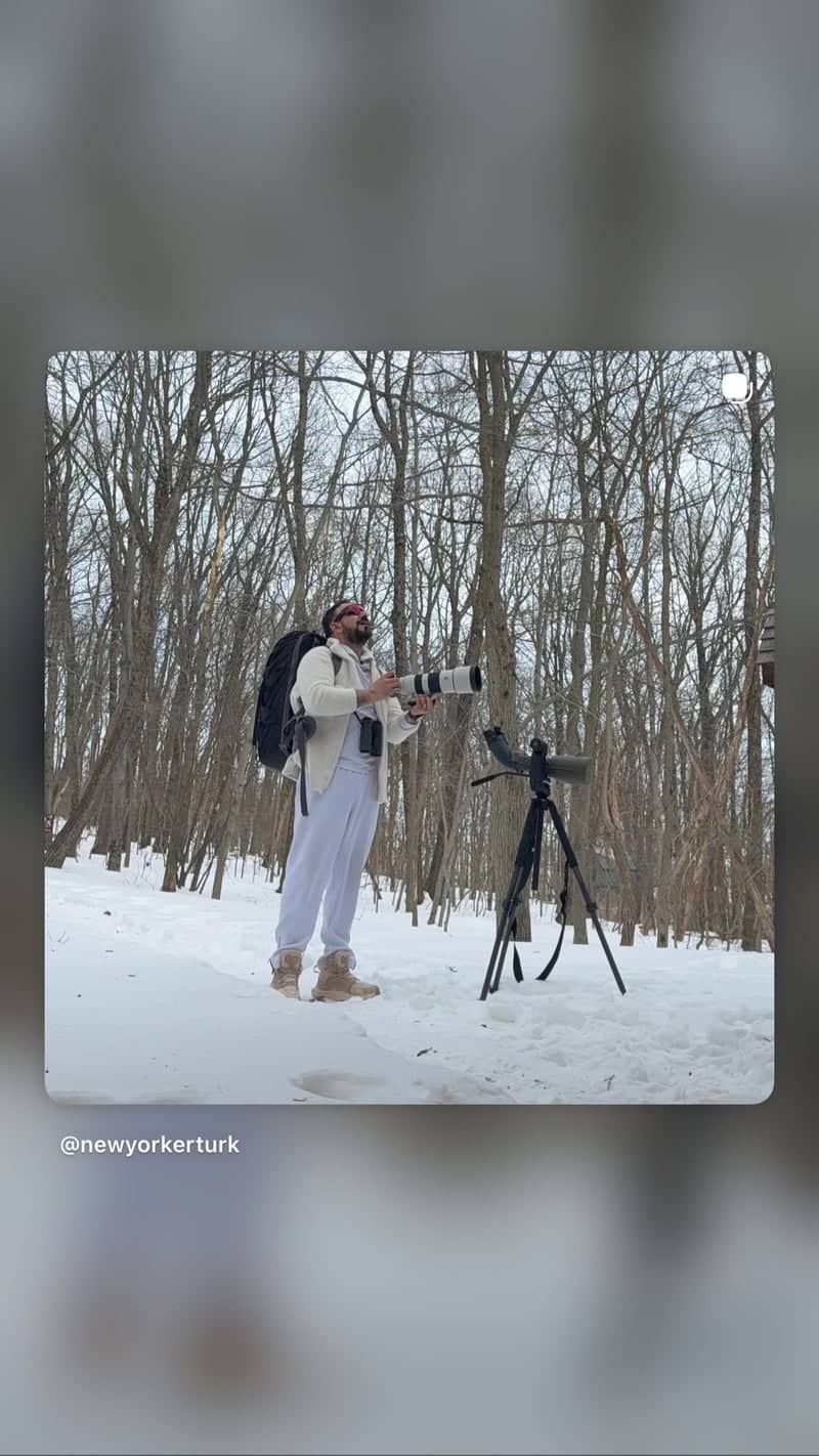 Hudson River Valley Woodlands - Image 1