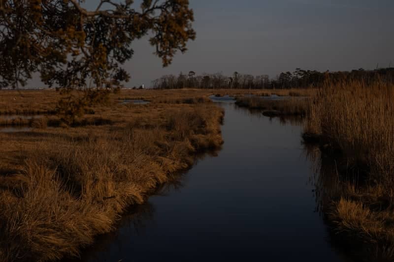 Silver Bay Salt Marshes - Image 1