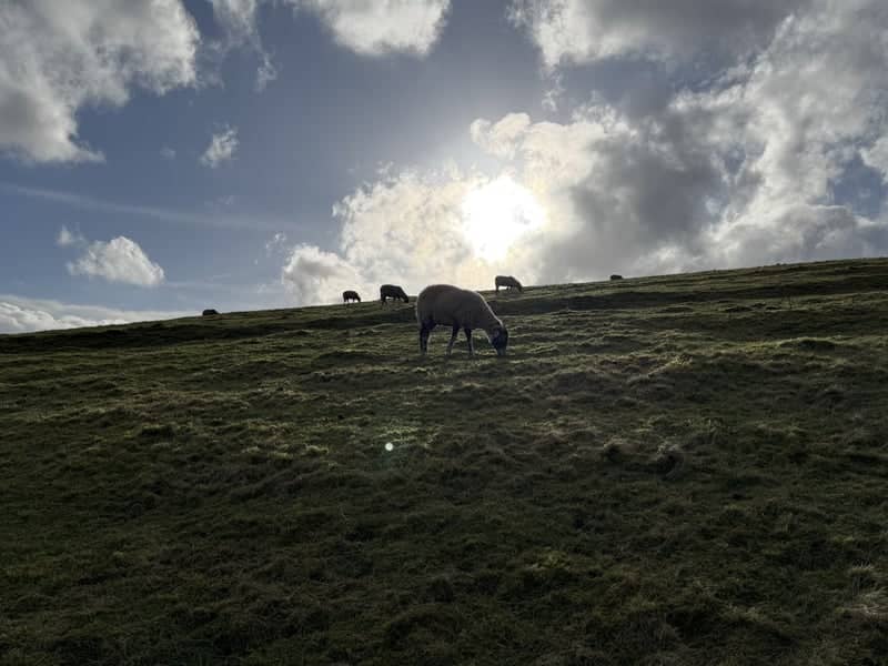 Latrigg Fell - Image 1