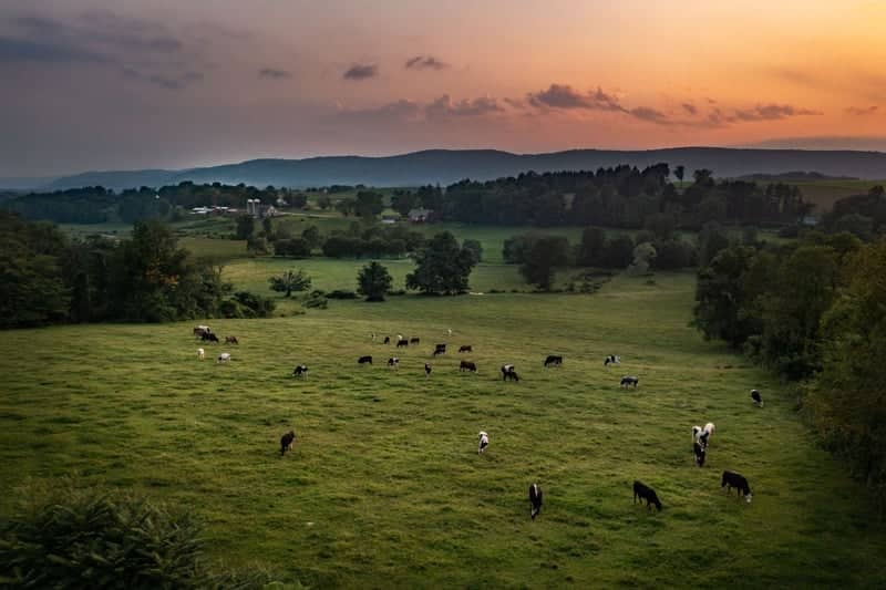 Sharon Valley Farm Overlook - Image 1