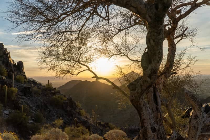Piestewa Peak Summit Trail - Image 1