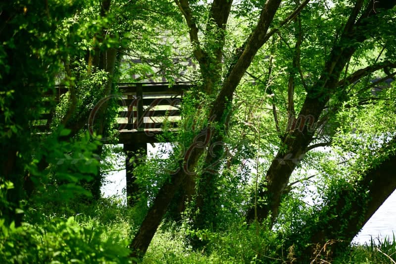 Barren Fork Greenway - Image 1