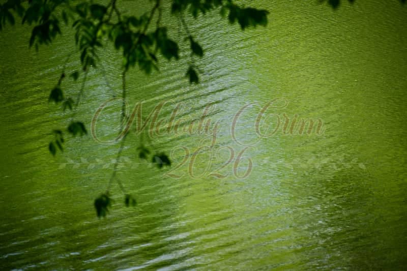McMinnville Greenway - Image 1