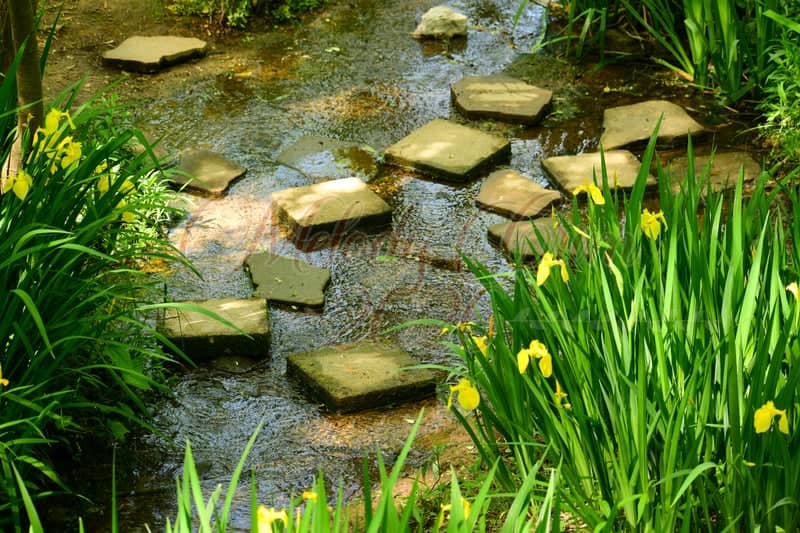 McMinnville Greenway Stepping Stones - Image 1
