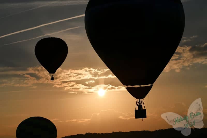 Dumplin Valley Hot Air Balloon Festival - Image 1