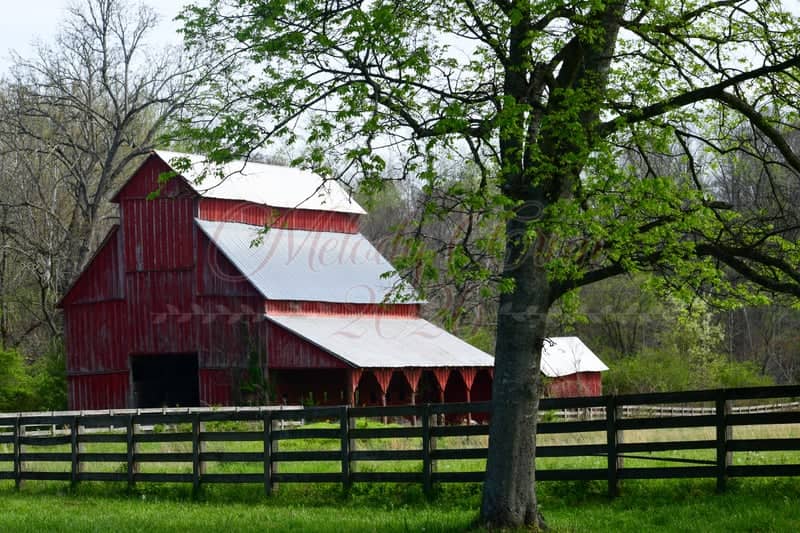 Rutledge Falls Road Red Barn - Image 1