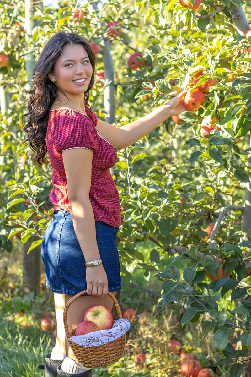 Bellewood Farms Apple Orchard - Image 1