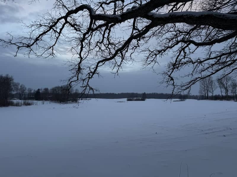 Snowy Fields of Cēsis - Image 1