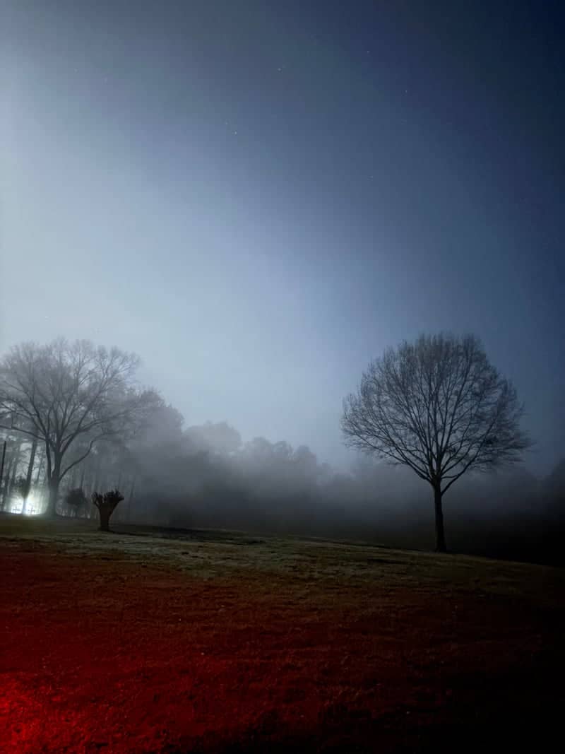Perkinston Meadow - Image 1