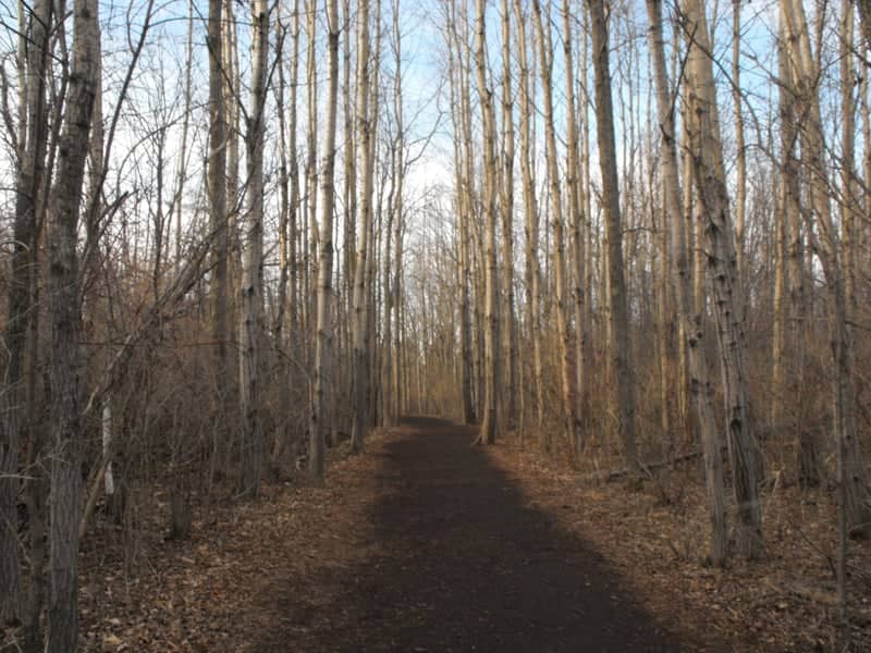 Lion's Den Gorge Nature Preserve - Image 1