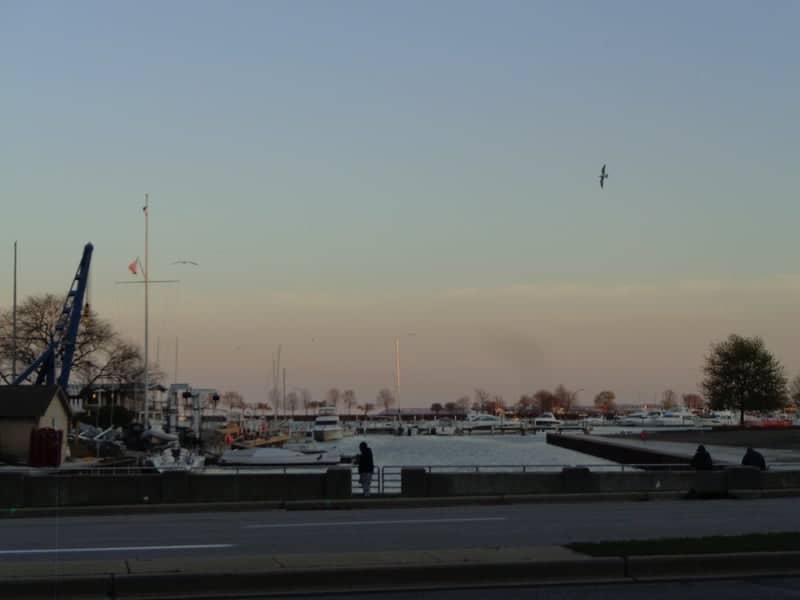 Milwaukee Harbor at Discovery World - Image 1