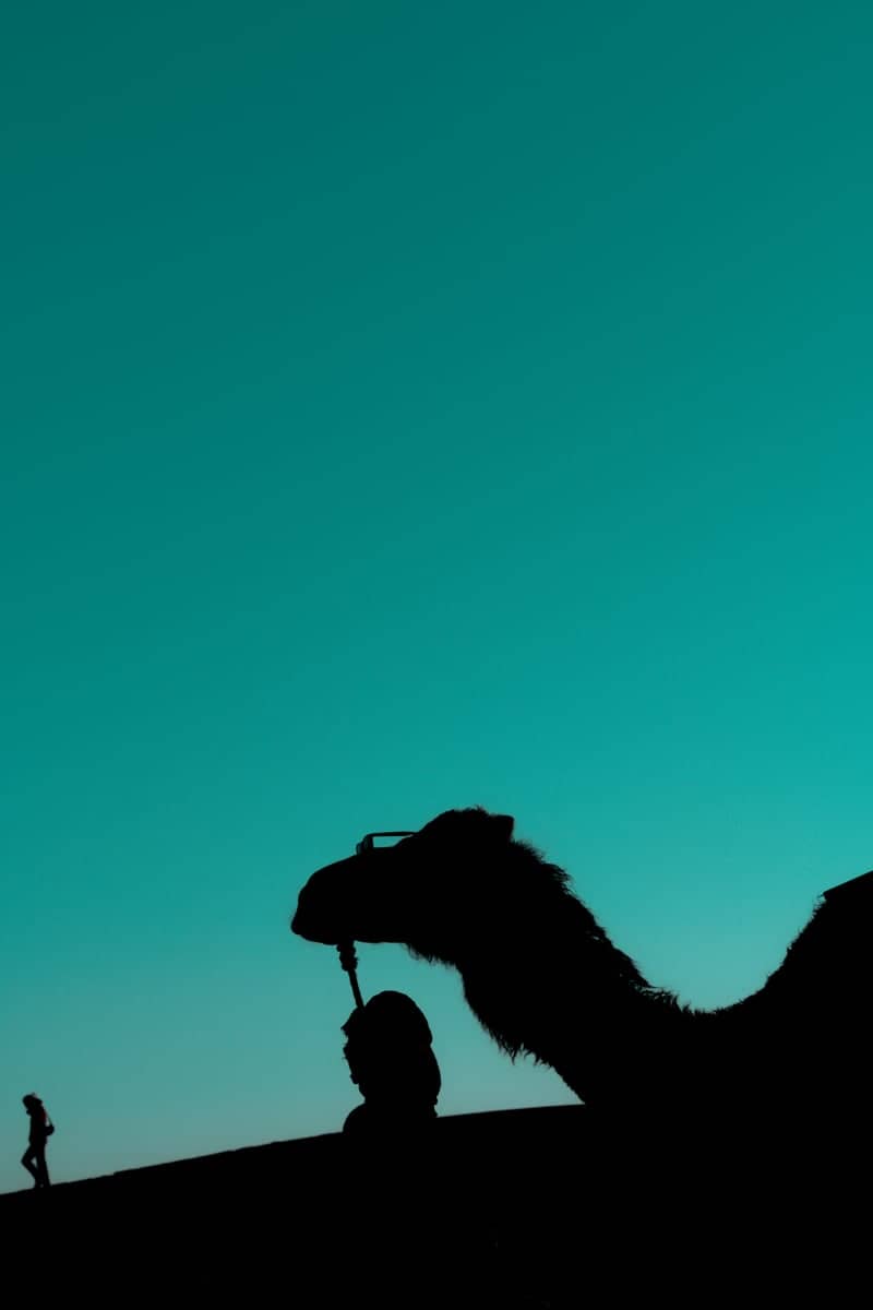 Erg Chebbi Dunes - Image 1