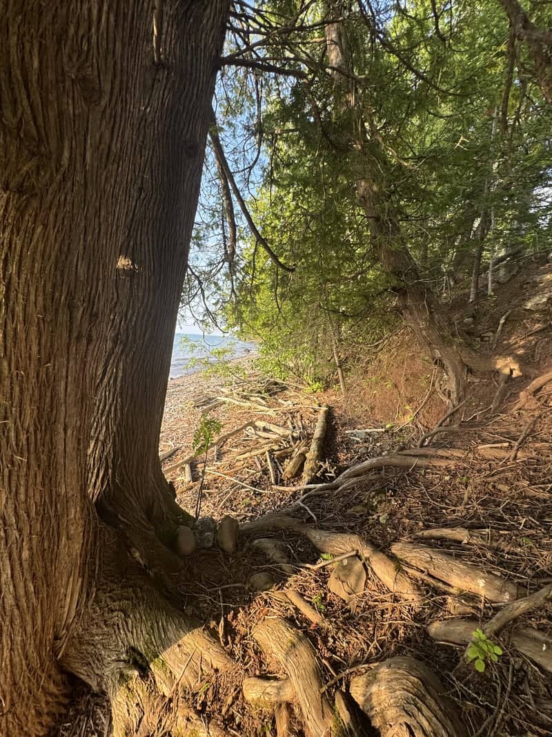 Bark Point Shoreline - Image 1