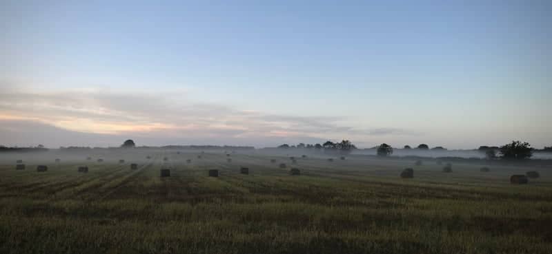 Everton Misty Farmland - Image 1