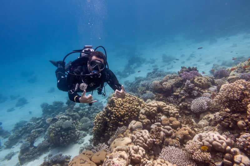 Dahab Coral Reefs - Image 1