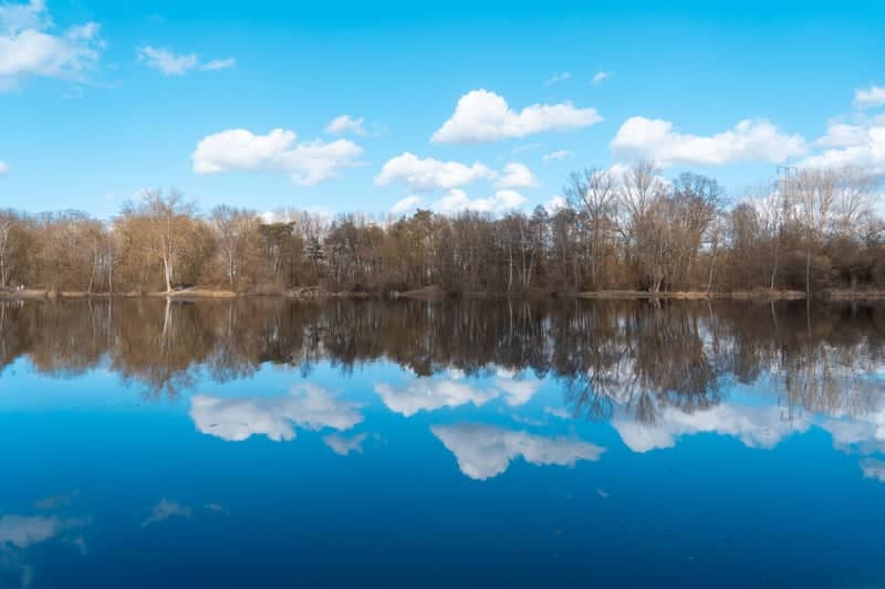 Erlensee Bickenbach - Image 1
