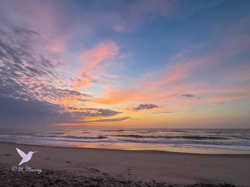 Assateague Island National Seashore - Image 1
