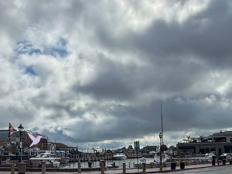 Annapolis City Dock - Image 1