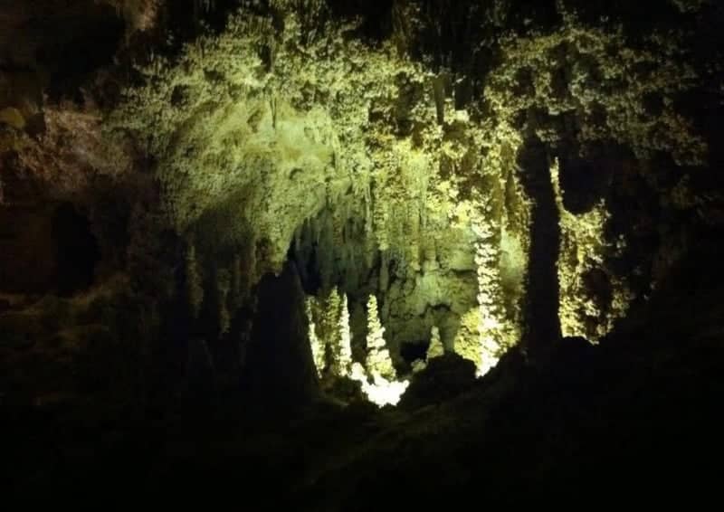 Carlsbad Caverns National Park - Image 1