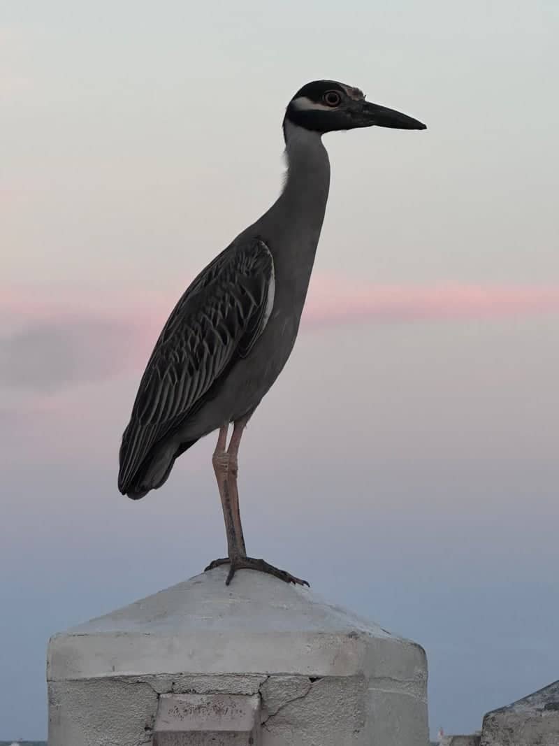 Pompano Beach Waterfront - Image 1