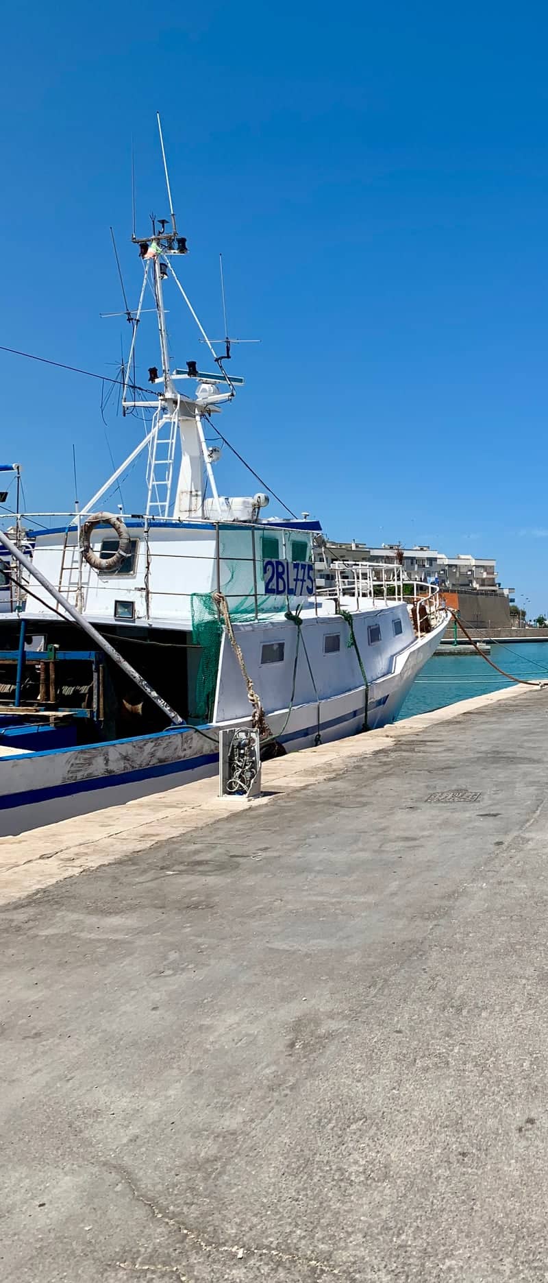 Porto di Bisceglie - Image 1