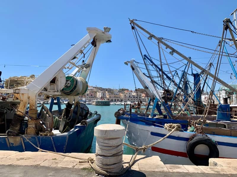 Porto di Bisceglie - Image 1