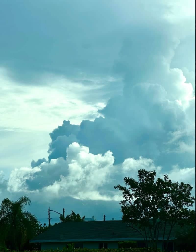 Palmetto Park Cloudscape - Image 1