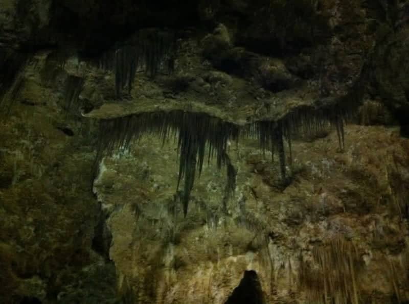 Carlsbad Caverns National Park - Image 1