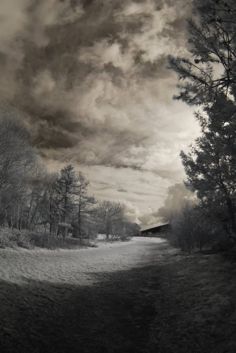 Elmdon Park - Image 1