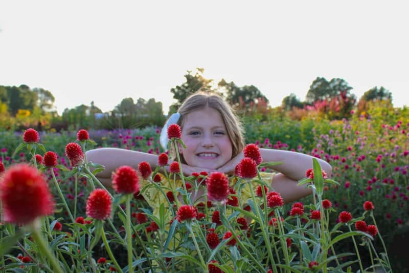 Imlay City Flower Garden - Image 1