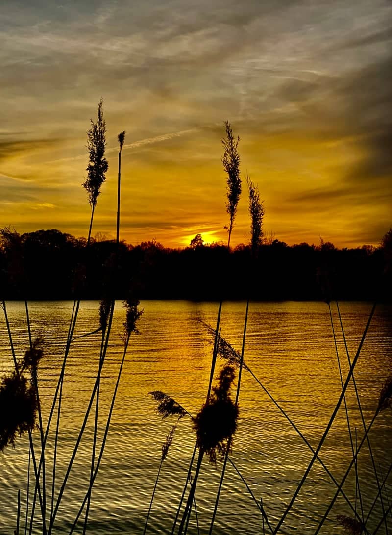 Harness Creek at Quiet Waters Park - Image 1