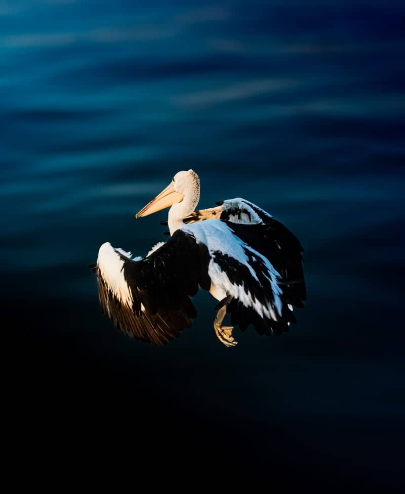 Lake Mulwala Waterfront - Image 1