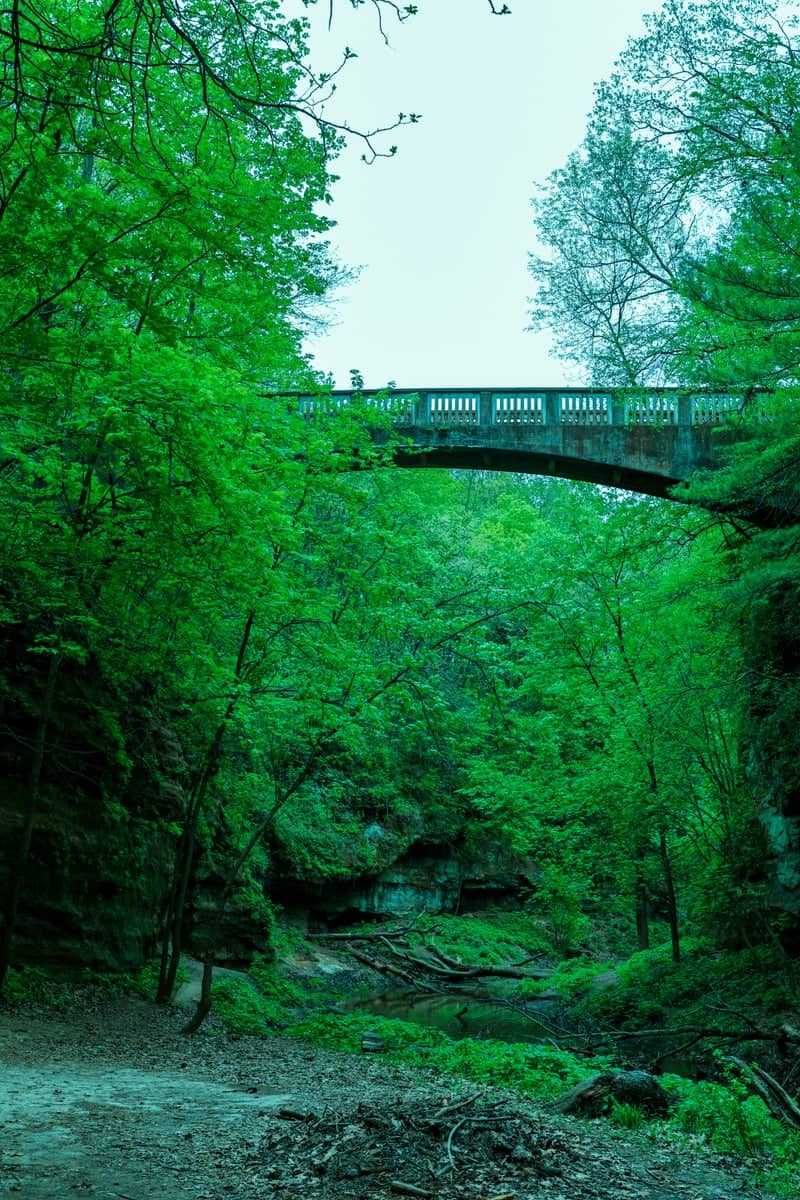 Matthiessen State Park Bridge - Image 1