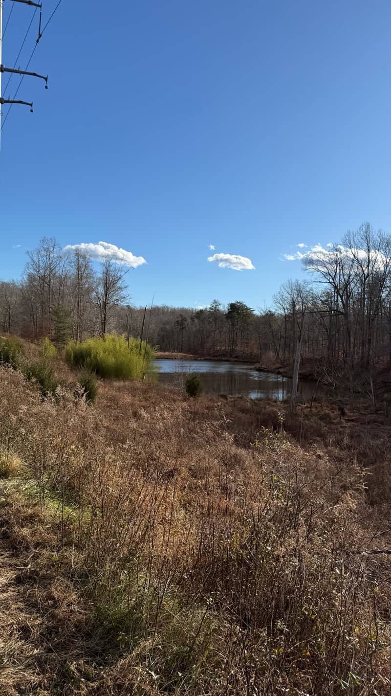 Prince Frederick Nature Pond - Image 1