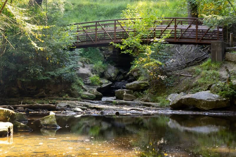 Cook Forest State Park Footbridge - Image 1