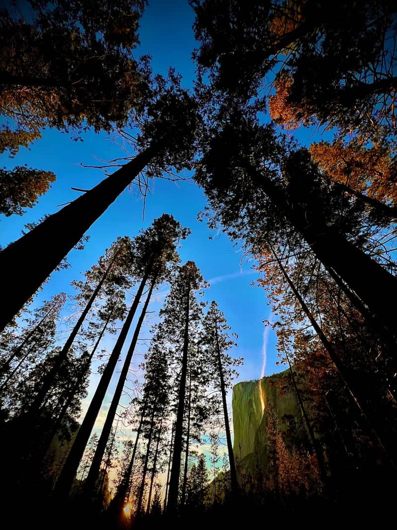 Horsetail Fall (Firefall) - Image 1