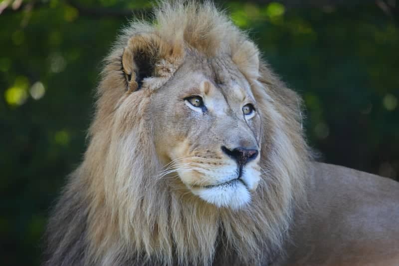 Woodland Park Zoo - Image 1