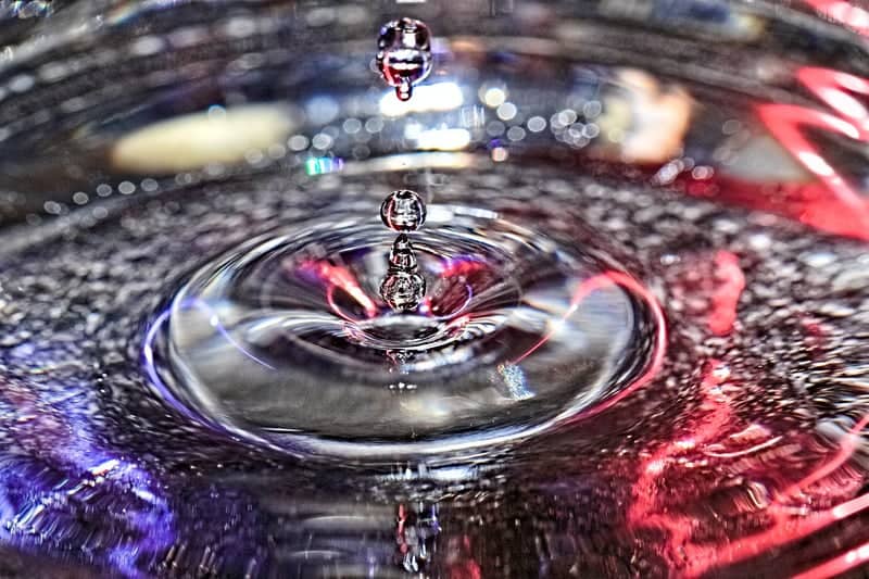 Edmonds Macro Photography Studio - Image 1