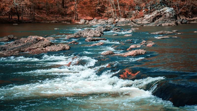 Ouachita River Rapids at Lake Catherine State Park - Image 1