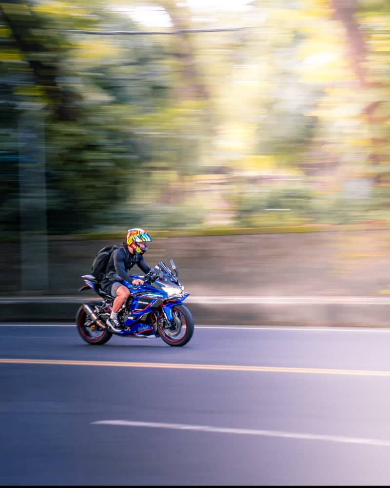 Denpasar Forest Roadway - Image 1
