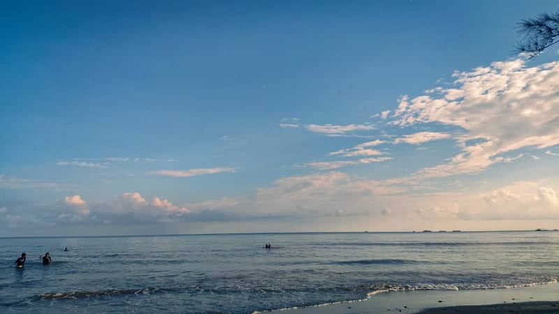 Kalimantan Tropical Shoreline - Image 1