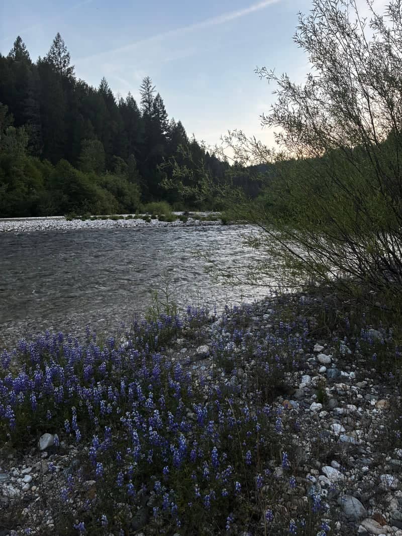 Bear River Rocky Bank - Image 1