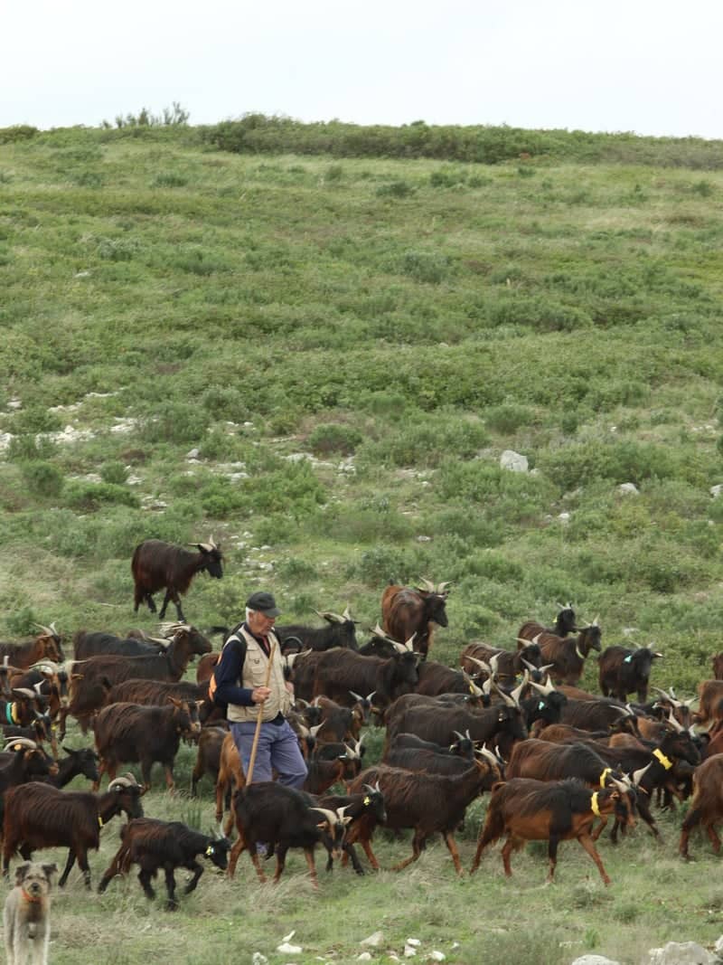 Serras de Aire e Candeeiros Pastoral Highlands - Image 1