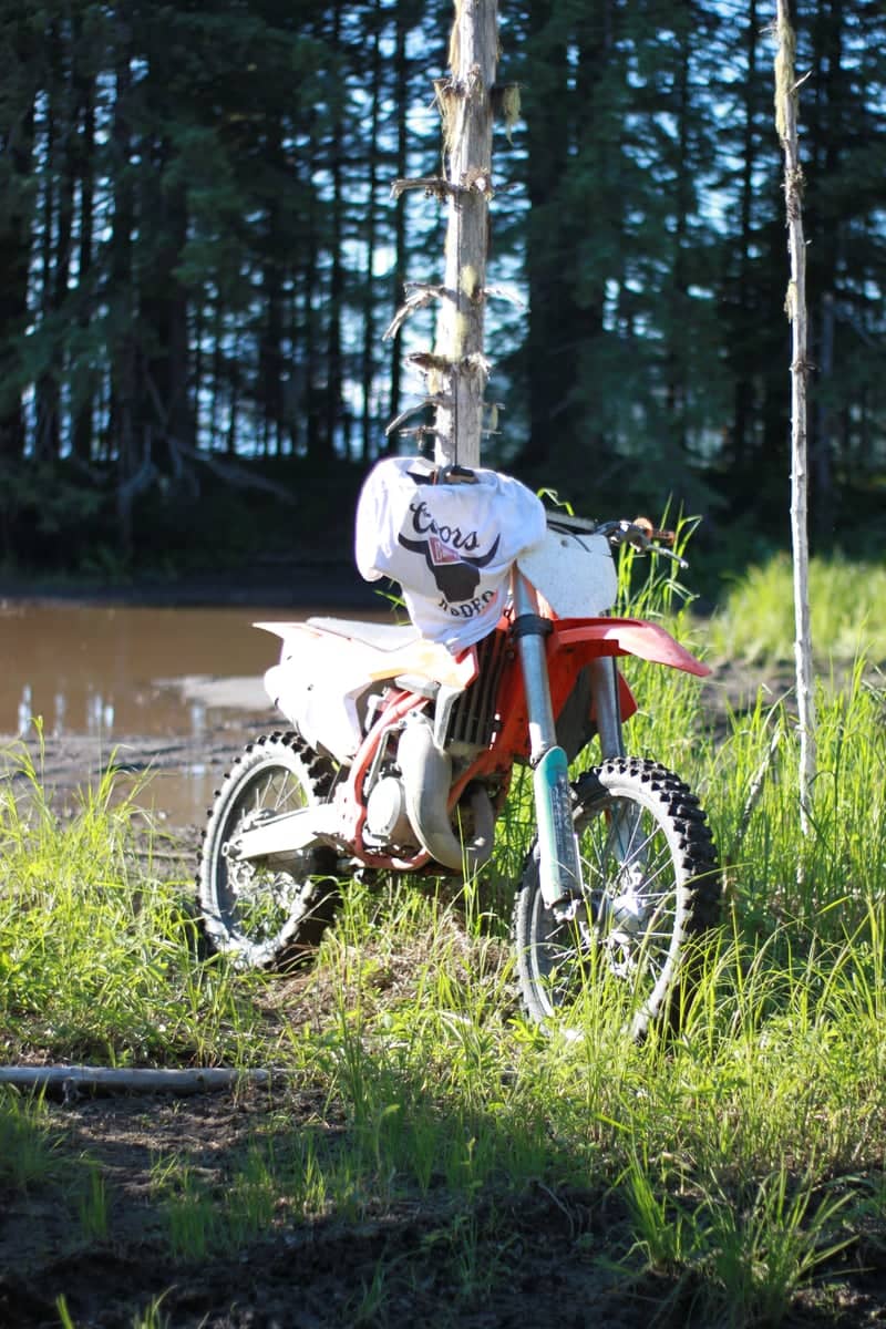 Echo Cove Forest Trails - Image 1