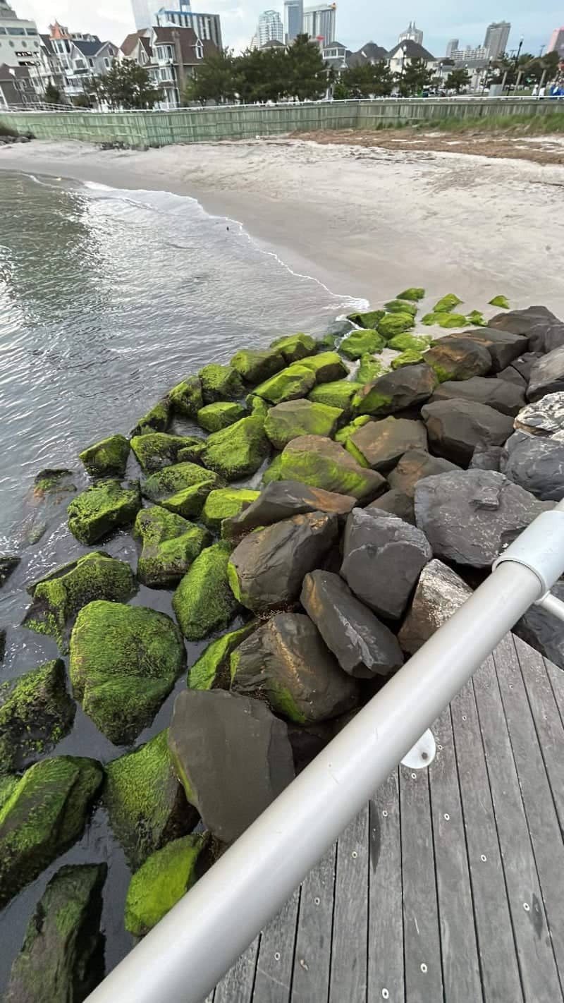 Absecon Inlet Boardwalk - Image 1