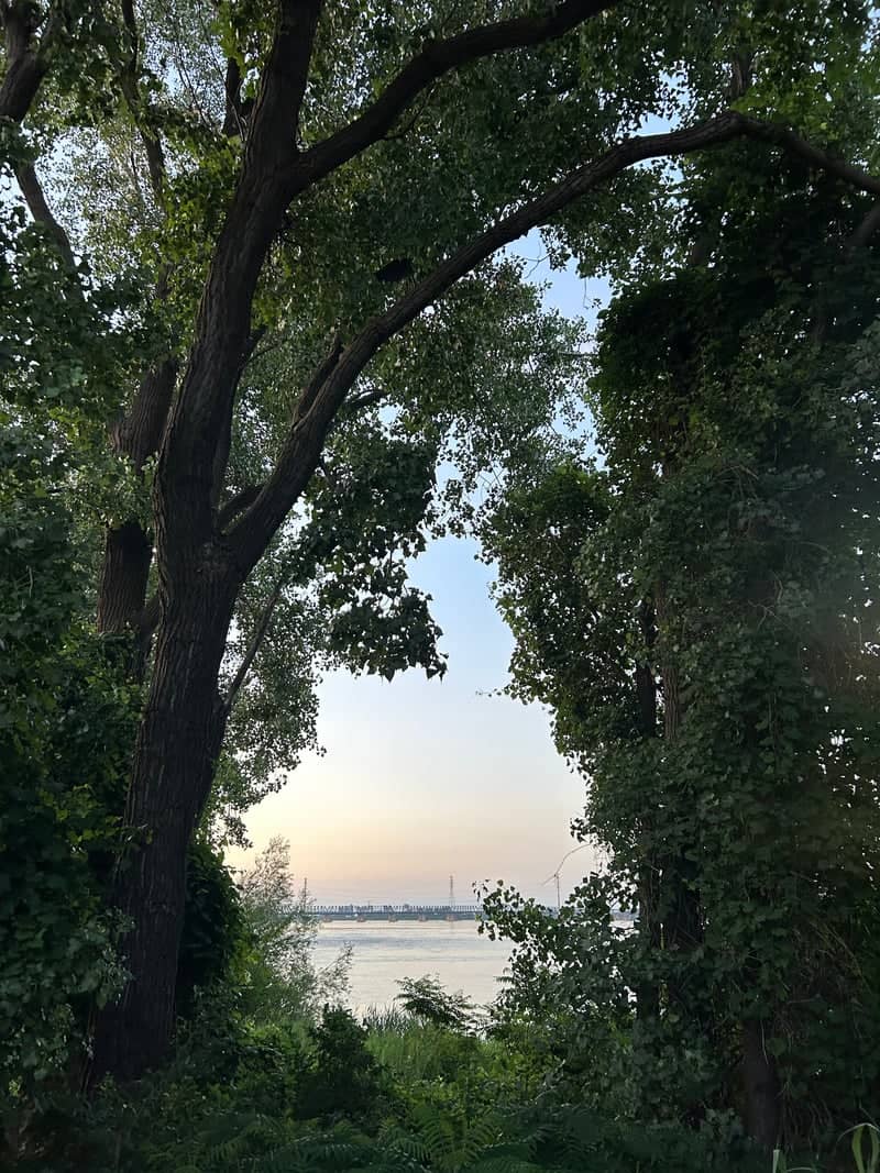 Nuns' Island Waterfront Overlook - Image 1