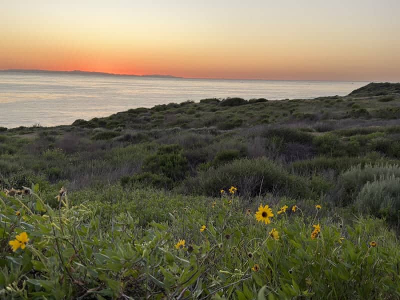 Crystal Cove State Park Bluffs - Image 1