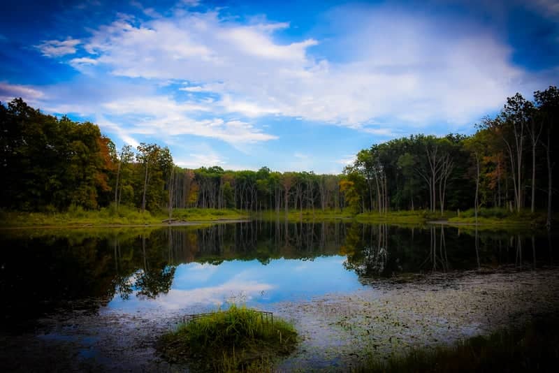 Lake Mingo - Image 1